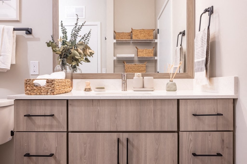 a bathroom with a sink and a mirror