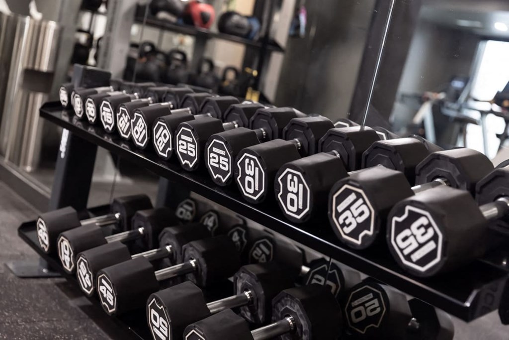 a rack of dumbbells in a gym