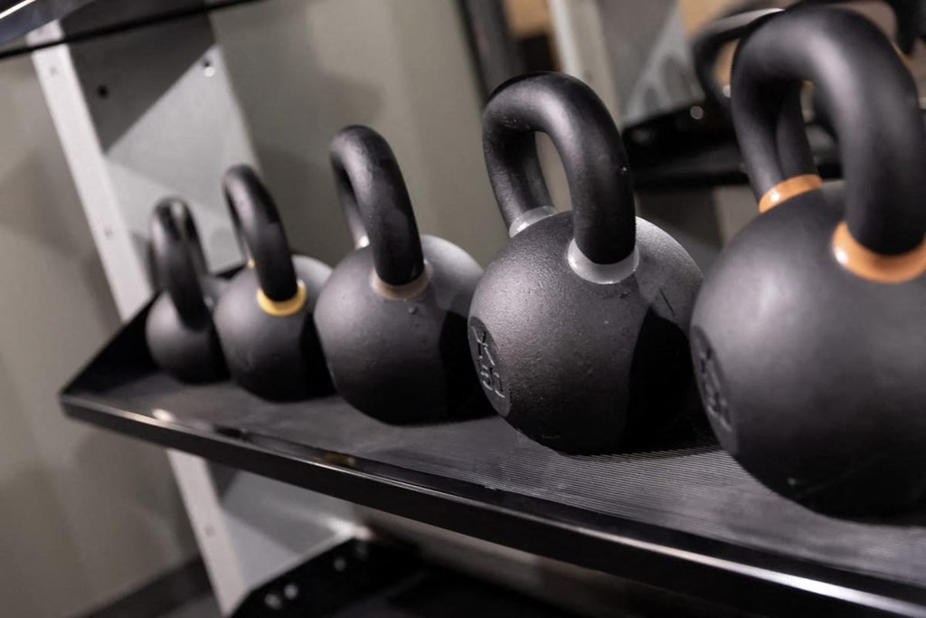a row of dumbbells on a shelf