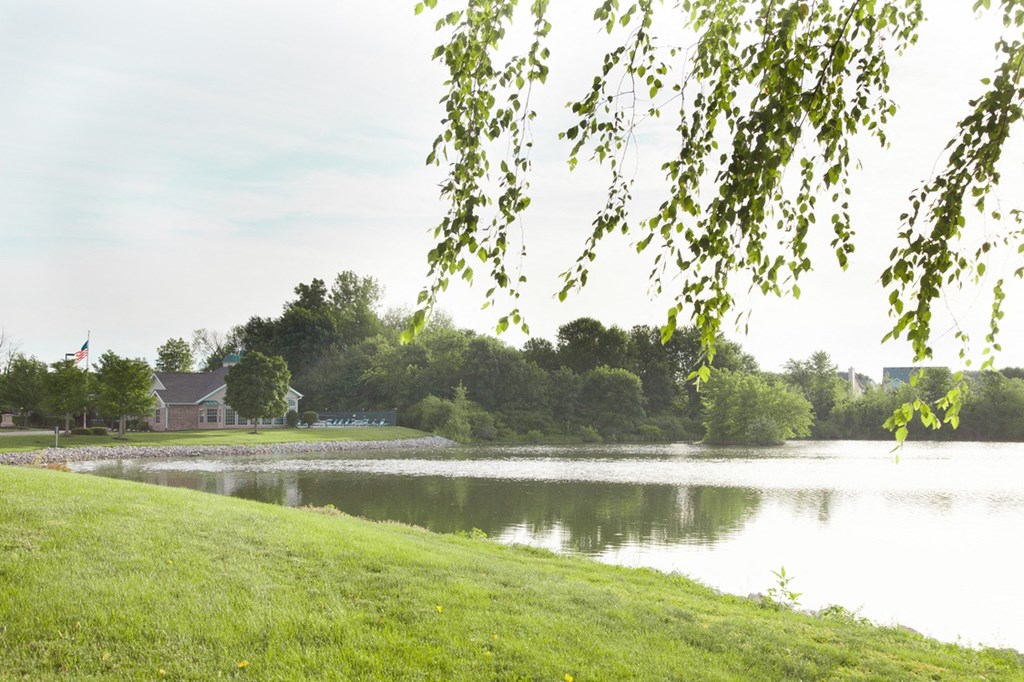 a view of a lake with a house in the background