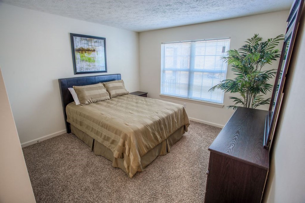 a bedroom with a bed and a plant