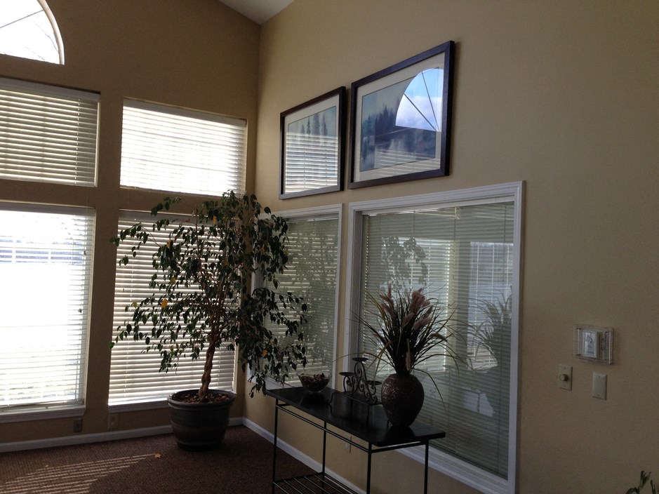 a living room with large windows and a potted plant