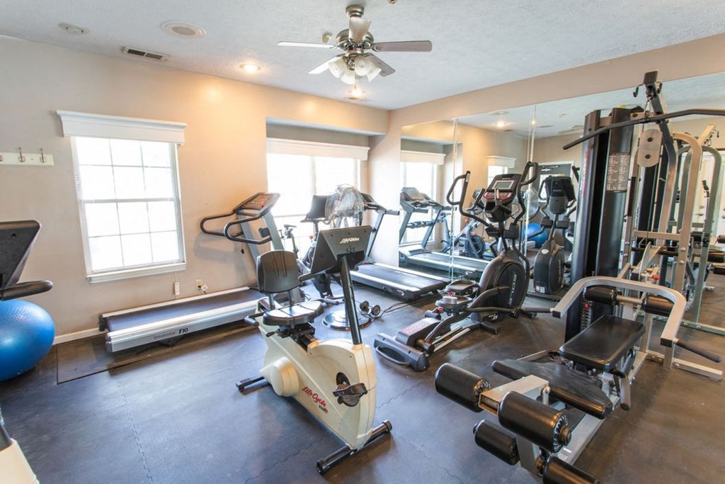 the gym is equipped with a variety of exercise equipment