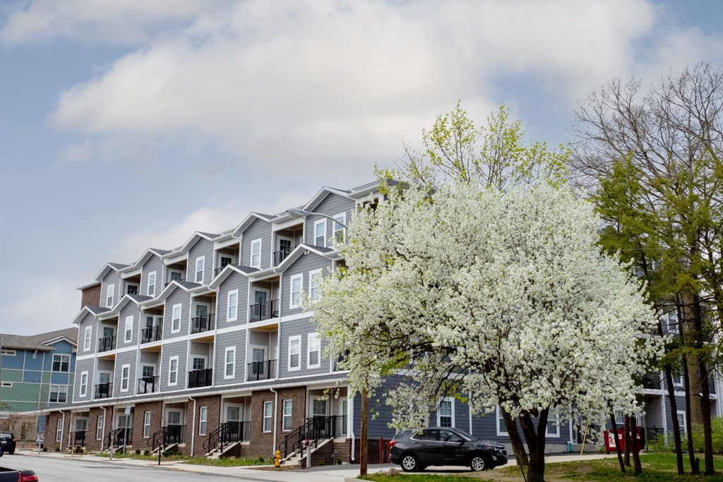a row of apartment buildings on a street with a flowering tree