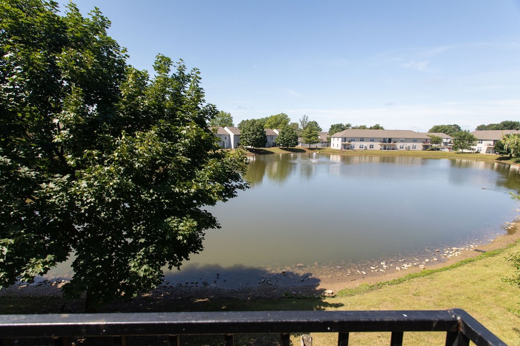 a view of a lake with houses in the background