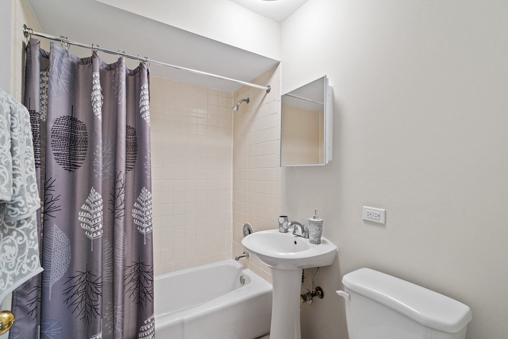 Bathroom at Hanover Park Blu Apartments, Illinois, 60133