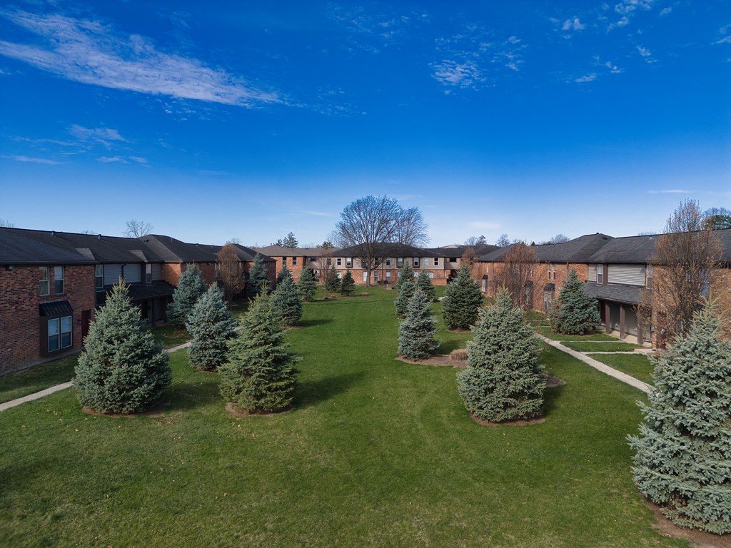 rows of trees in front of apartments on a lawn