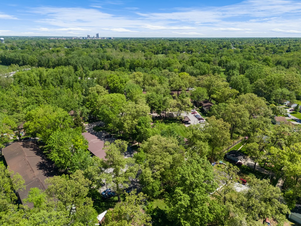 an aerial view of a park with trees and a parking lot