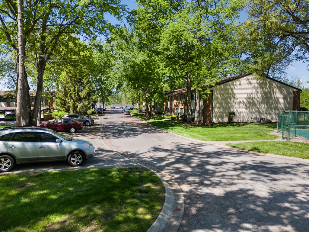 a tree lined street with cars parked on the side