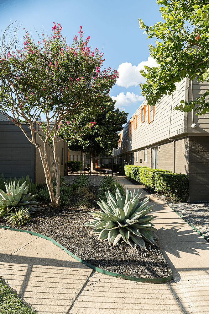 a courtyard with trees and plants in front of a building at La Bella Apartments, Fort Worth, TX
