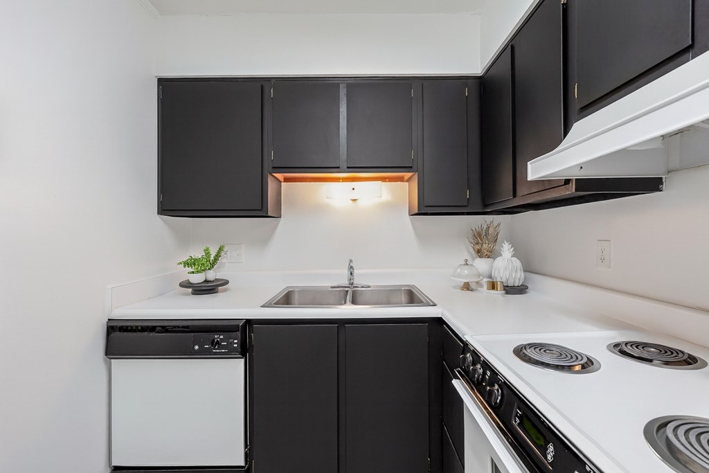 A modern kitchen with black cabinets and white appliances.