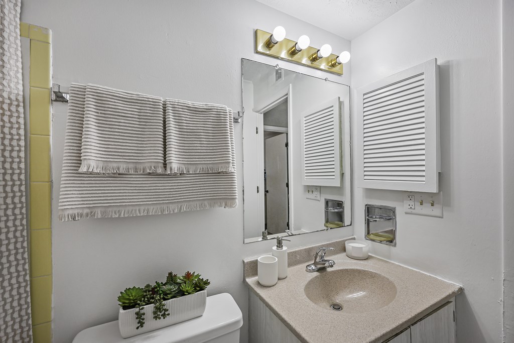 A bathroom with a toilet, sink, mirror, and a plant.