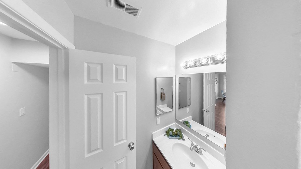 a bathroom with a sink and a mirror and a door