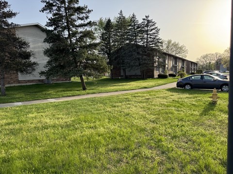 A grassy area in front of a building with a tree and a car parked on the side.