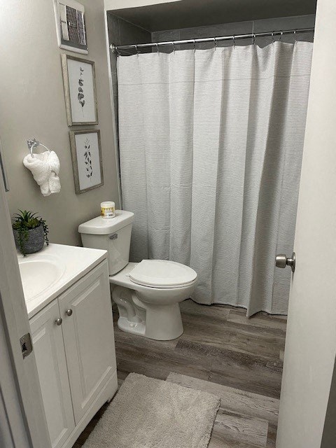 a bathroom with a shower curtain and a toilet and a sink