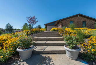 a stone staircase leading up to a brick building with yellow flowers on either side