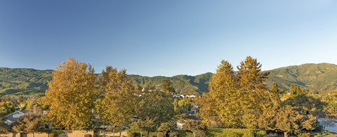 A landscape with trees and houses in the distance.