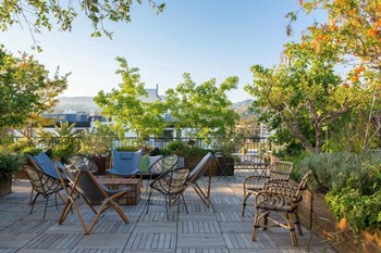 rooftop - Photo Gallery 2