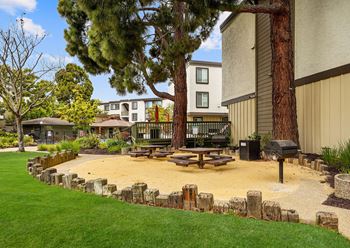 a park with a tree and benches in front of a building