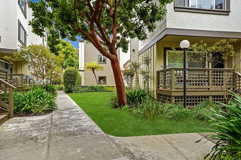 Peninsula Pines Apartments