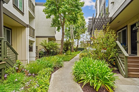 Peninsula Pines Apartments