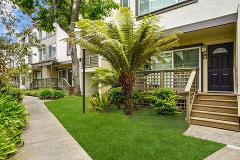 Peninsula Pines Apartments