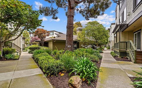 Peninsula Pines Apartments