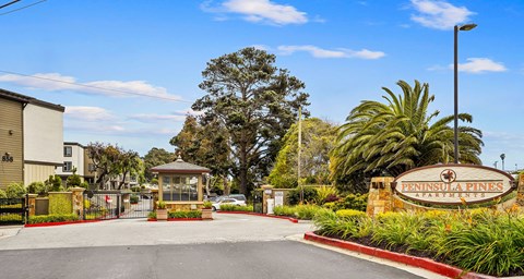 Peninsula Pines Apartments
