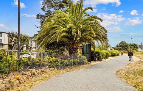 Peninsula Pines Apartments