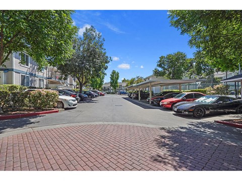 Resident parking area with carports and mature trees at Clayton Creek Apartments, California
