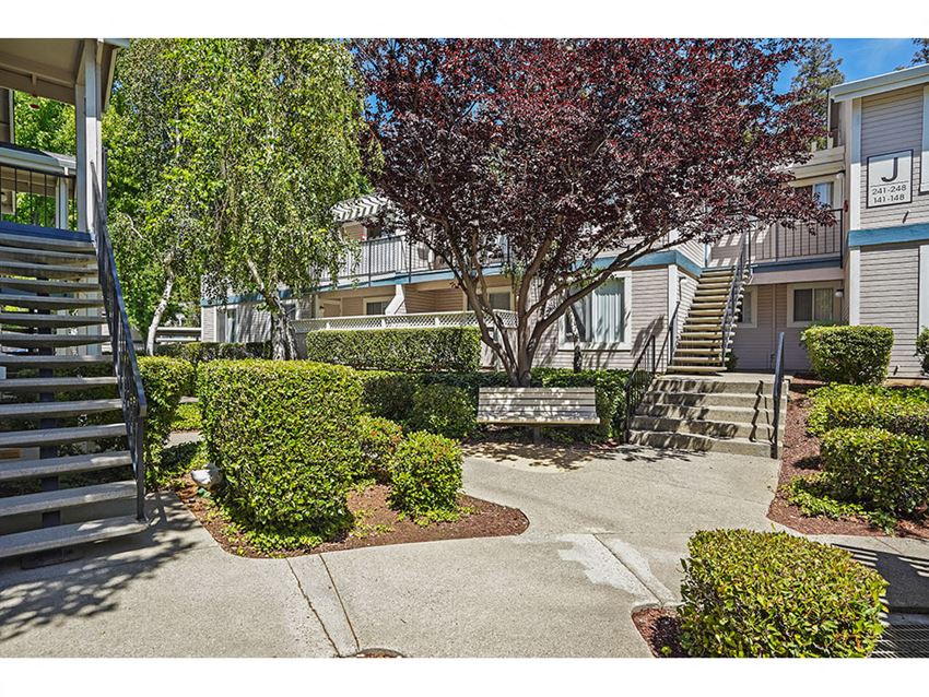 Hedges Hedges at Clayton Creek Apartments, Concord, CA, 94521