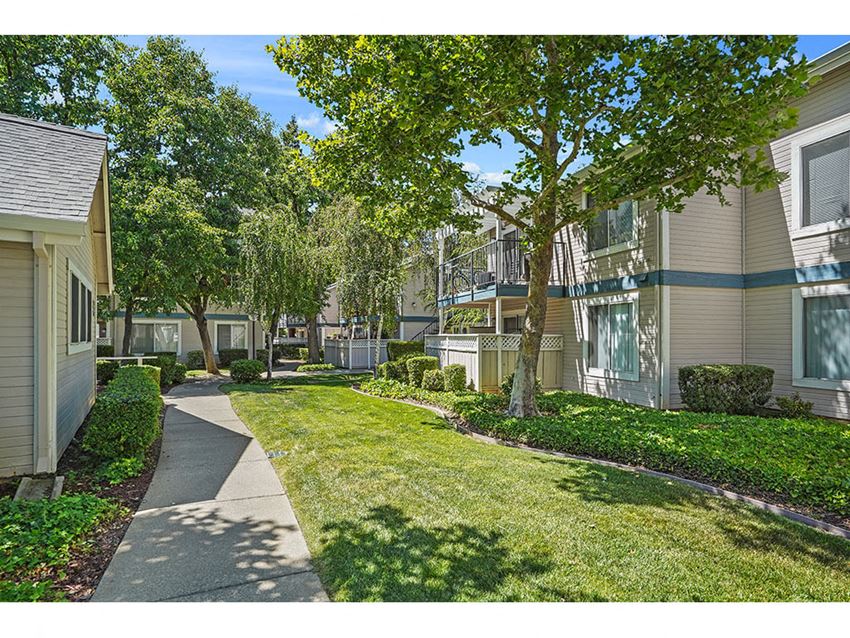 Lawn Lawn at Clayton Creek Apartments, California, 94521