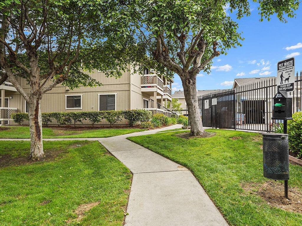 Tree lined landscaping at Cypress Landing, Salinas, CA