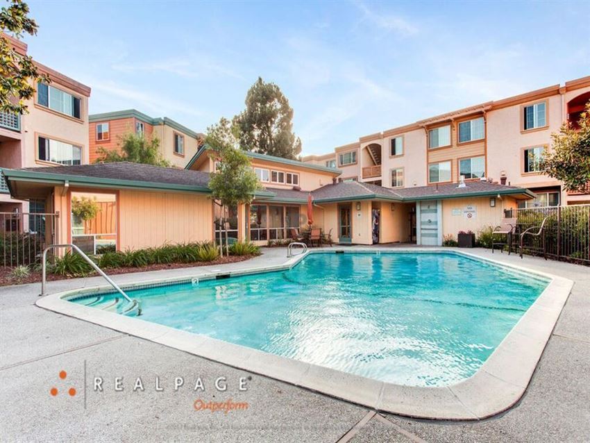 Glimmering pool Glimmering pool at Peninsula Pines Apartments, South San Francisco, 94080 - Photo Gallery