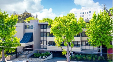 A modern building with a flat roof and large windows is surrounded by trees.