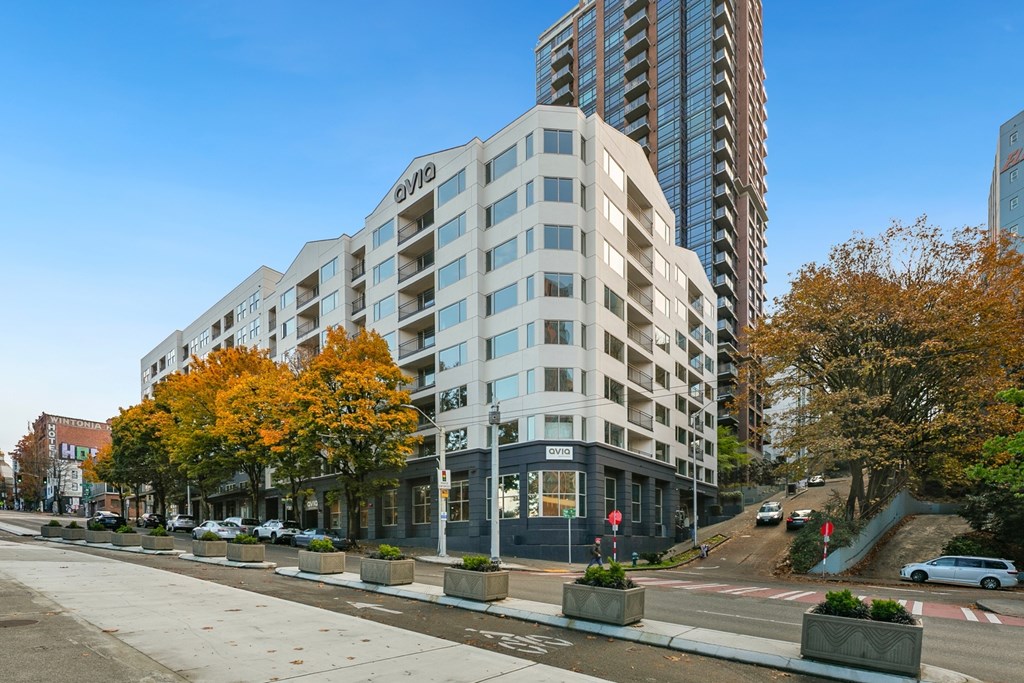 A street view of a residential area with apartment buildings and trees.