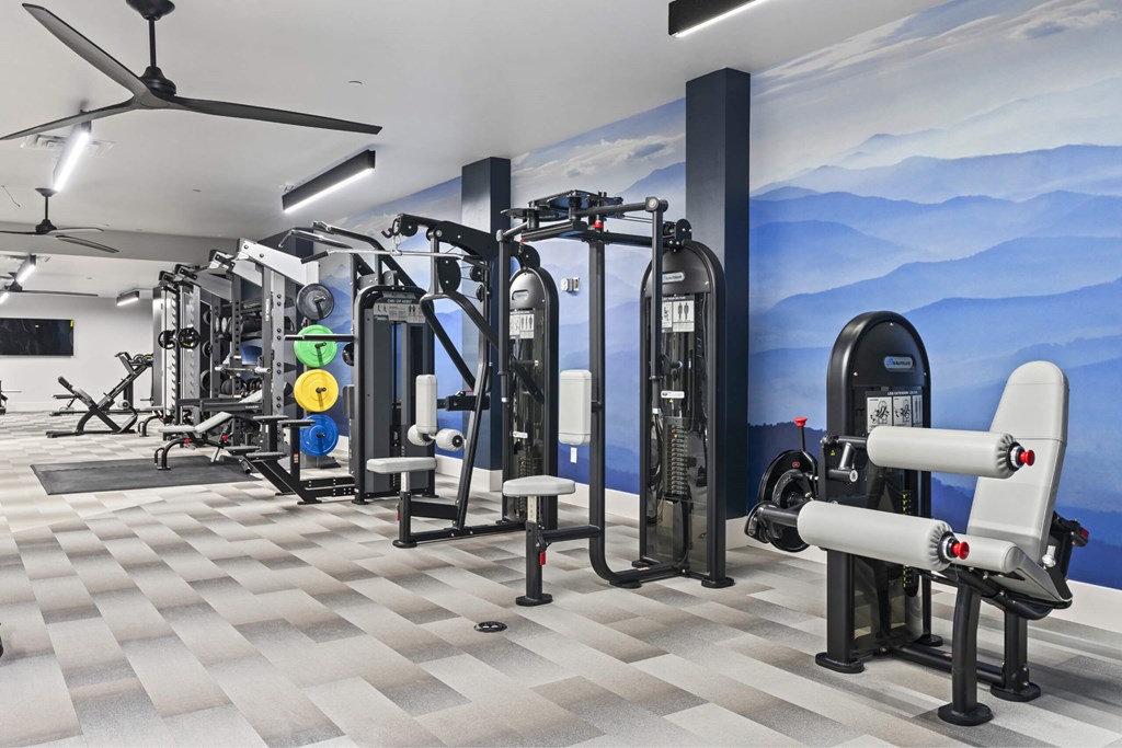 A gym with a variety of equipment including a leg press machine, a chest press machine, and a rowing machine.
