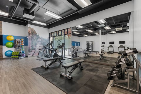 a gym with treadmills and other exercise equipment and a mural on the wall at City View St. George Apartments, St George, UT