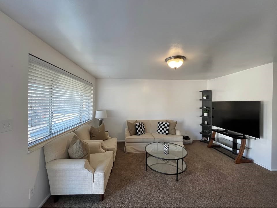 A living room with a couch, chair, and television.