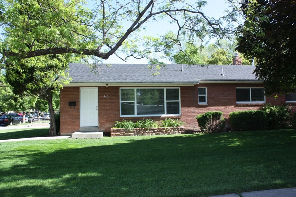 A house with a white door and windows is surrounded by greenery.