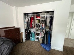 A room with a bed, a closet full of clothes and a carpet.