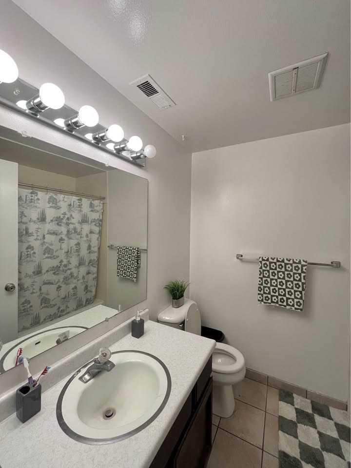A bathroom with a checkered rug and a toilet paper holder with a plant on top.