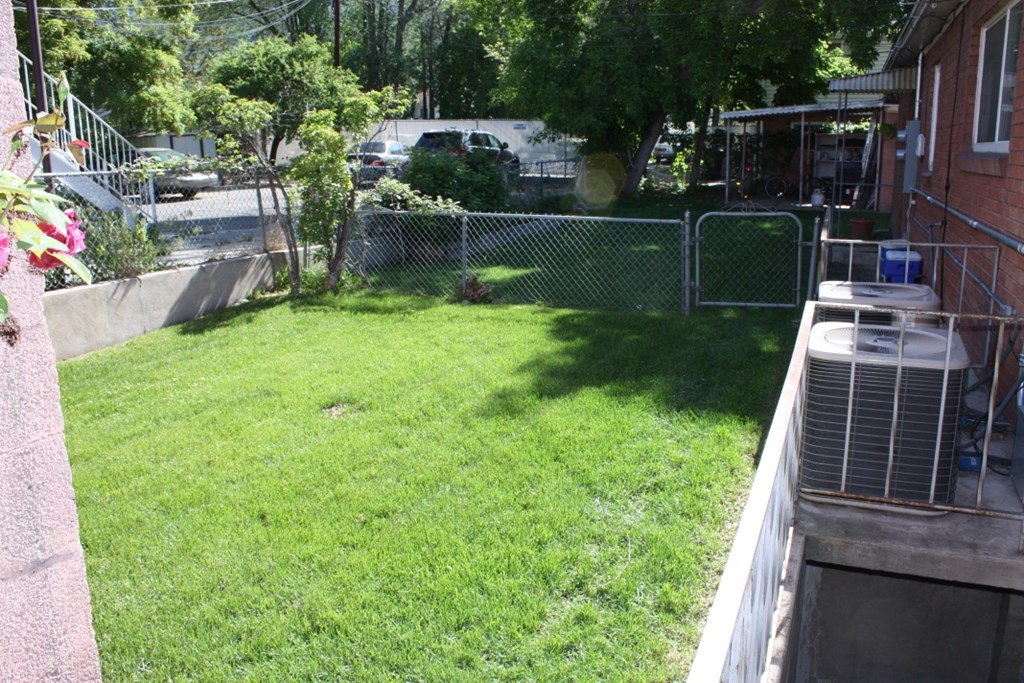 A backyard with a green lawn and a fence.