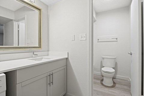 a bathroom with a toilet and a sink and a mirror at AVIA Lofts on Liberty Ridge Apartments, Florida, 32256