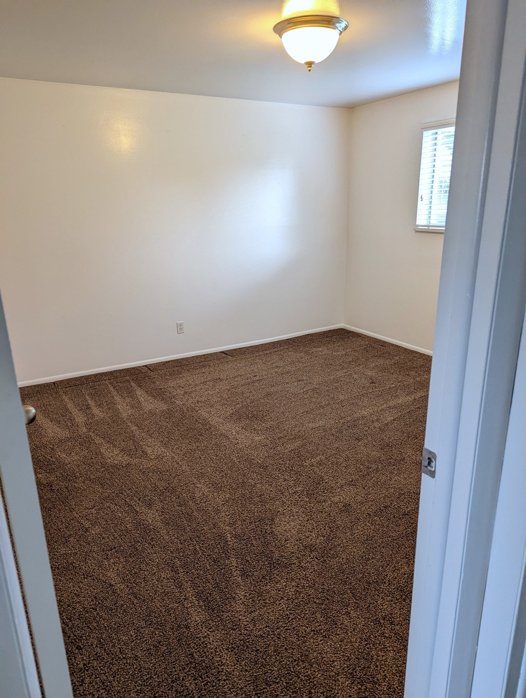 A room with brown carpet and a light on the ceiling.