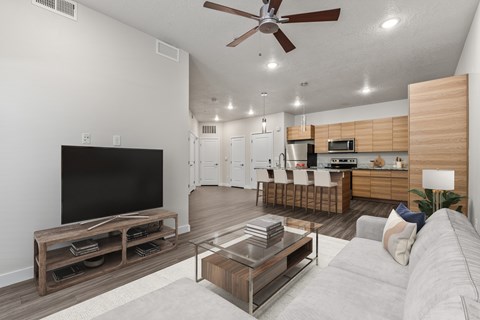 A modern living room with a flat screen TV and a kitchen area in the background.