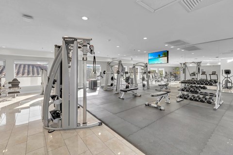 Gym with weights at Avia Apartments at Reedy Creek, Kissimmee, FL