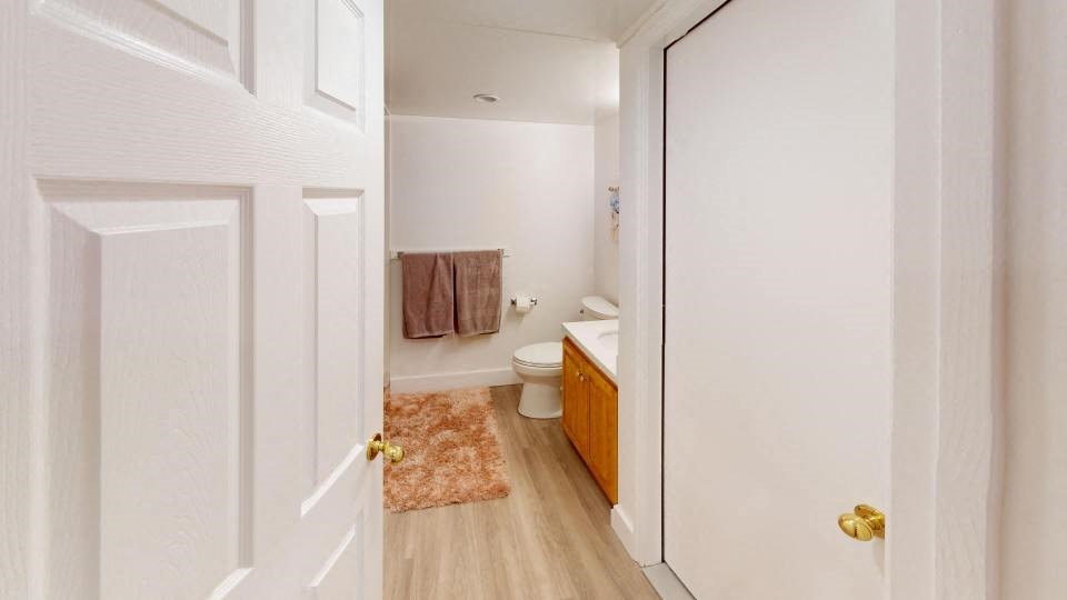 A bathroom with a toilet, sink, and a rug on the floor.