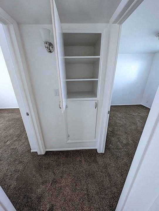 A white cabinet with shelves is in a room with carpeted floor.