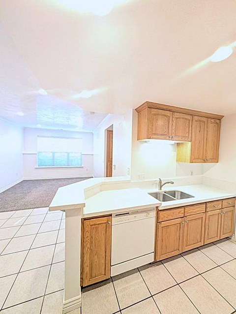 A kitchen with a sink and a dishwasher.